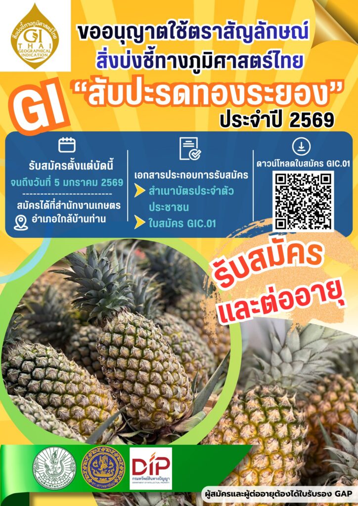ประชาสัมพันธ์การเปิดรับสมัครและต่ออายุผู้ขอใช้ตราสัญลักษณ์สิ่งบ่งชี้ทางภูมิศาสตร์ไทย GI สับปะรดทองระยอง